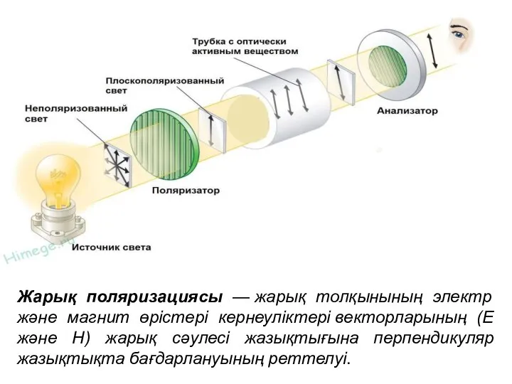 Жарық поляризациясы — жарық толқынының электр және магнит өрістері кернеуліктері векторларының