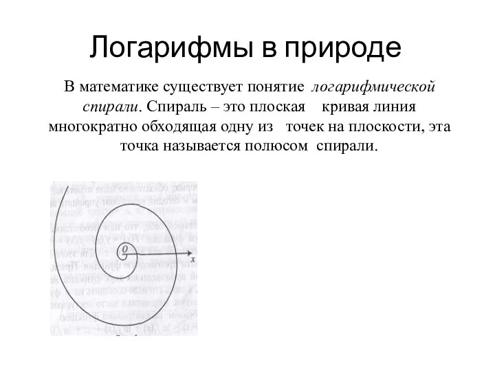 Логарифмы в природе В математике существует понятие логарифмической спирали. Спираль –