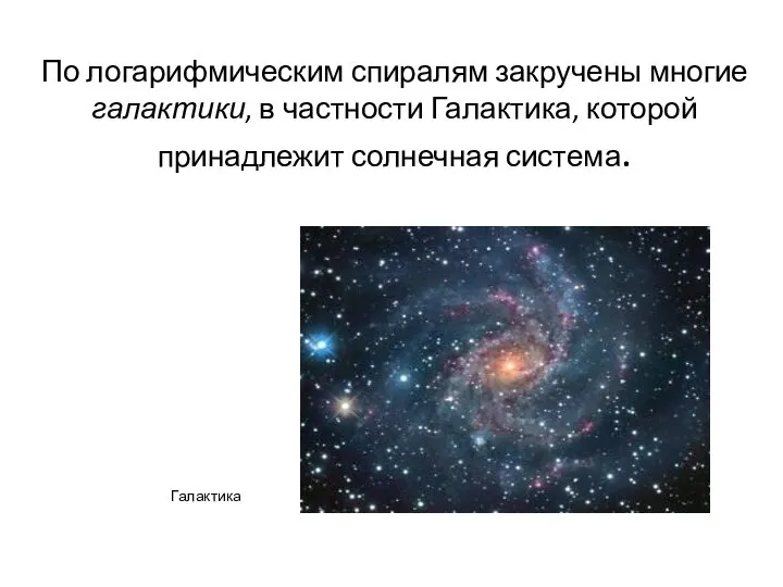 По логарифмическим спиралям закручены многие галактики, в частности Галактика, которой принадлежит солнечная система. Галактика