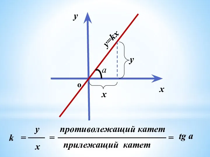 y=kx k = x y = противолежащий катет прилежащий катет =