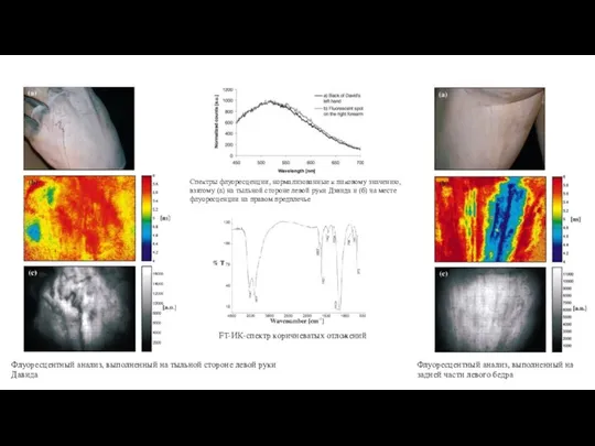 Флуоресцентный анализ, выполненный на тыльной стороне левой руки Давида Спектры флуоресценции,