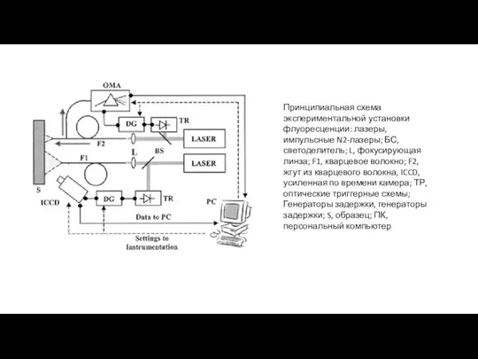 Принципиальная схема экспериментальной установки флуоресценции: лазеры, импульсные N2-лазеры; БС, светоделитель; L,