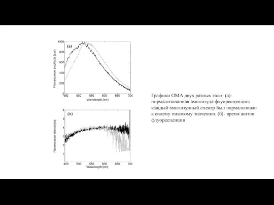 Графики OMA двух разных гало: (а)-нормализованная амплитуда флуоресценции; каждый амплитудный спектр