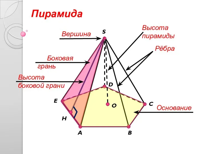 A C D E H B S Вершина Рёбра Основание O