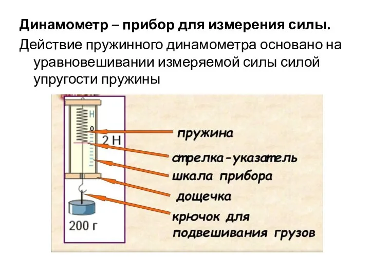 Динамометр – прибор для измерения силы. Действие пружинного динамометра основано на