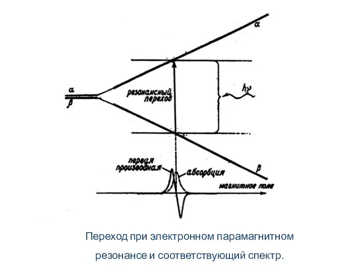 Переход при электронном парамагнитном резонансе и соответствующий спектр.