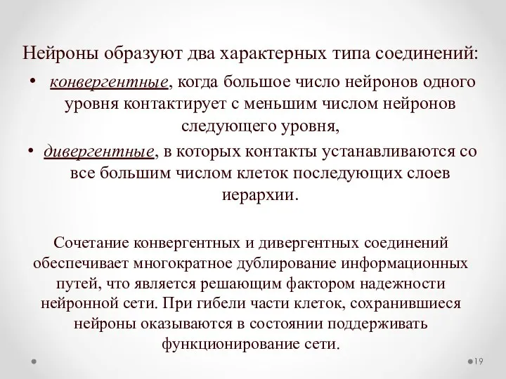 Нейроны образуют два характерных типа соединений: конвергентные, когда большое число нейронов