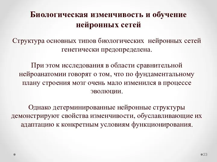 Биологическая изменчивость и обучение нейронных сетей Структура основных типов биологических нейронных