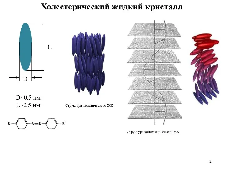 Холестерический жидкий кристалл