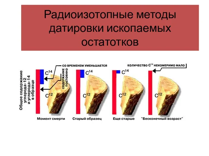 Радиоизотопные методы датировки ископаемых остатотков