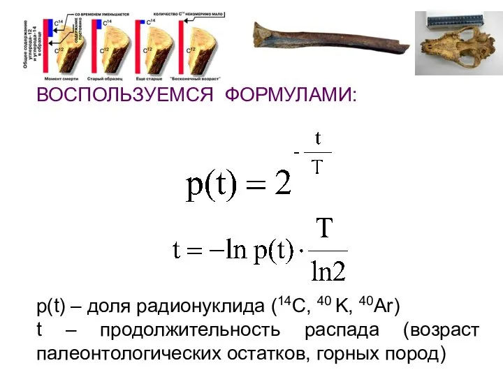 ВОСПОЛЬЗУЕМСЯ ФОРМУЛАМИ: p(t) – доля радионуклида (14C, 40 K, 40Ar) t