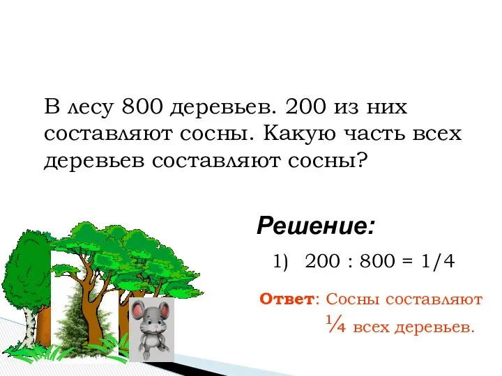 200 : 800 = 1/4 Ответ: Сосны составляют ¼ всех деревьев.