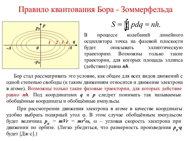 Правило квантования Бора - Зоммерфельда В процессе колебаний линейного осциллятора точка