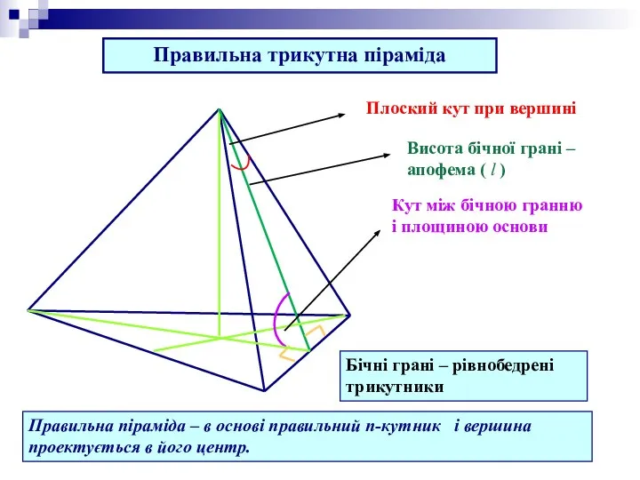 Правильна трикутна піраміда Висота бічної грані – апофема ( l )