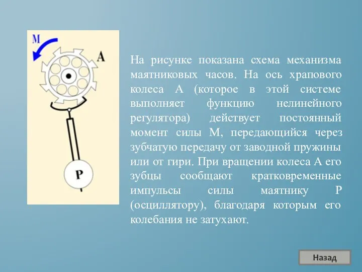 На рисунке показана схема механизма маятниковых часов. На ось храпового колеса