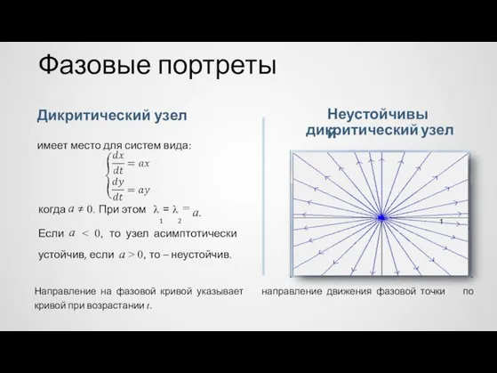 Фазовые портреты Неустойчивый Дикритический узел имеет место для систем вида: дикритический