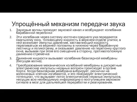 Упрощённый механизм передачи звука Звуковые волны проходят звуковой канал и возбуждают