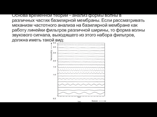 Основа временной теории – анализ формы волны в различных частях базилярной