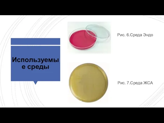 Используемые среды Рис. 6.Среда Эндо Рис. 7.Среда ЖСА