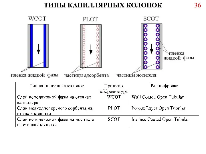 ТИПЫ КАПИЛЛЯРНЫХ КОЛОНОК 36