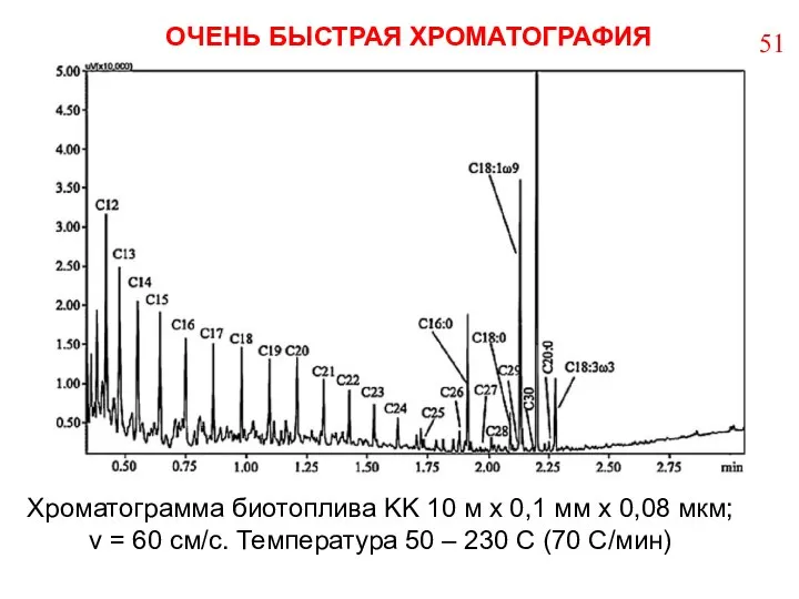 Хроматограмма биотоплива KK 10 м х 0,1 мм х 0,08 мкм;