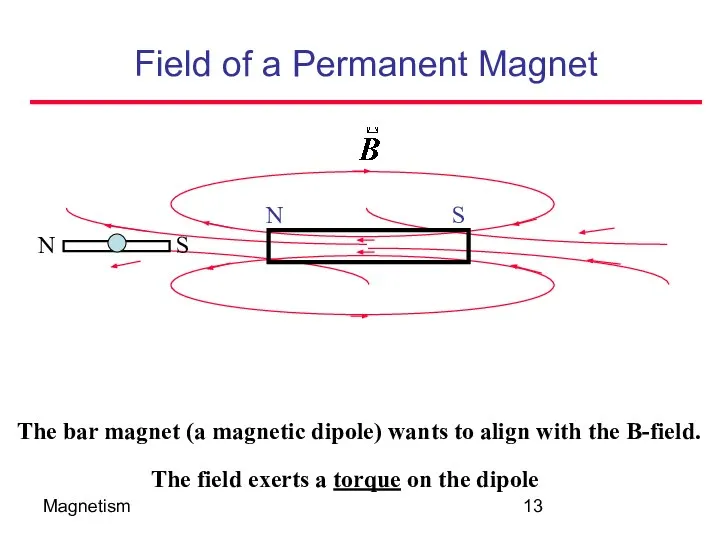 Magnetism Field of a Permanent Magnet The field exerts a torque