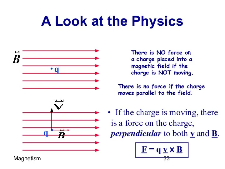 Magnetism A Look at the Physics There is NO force on