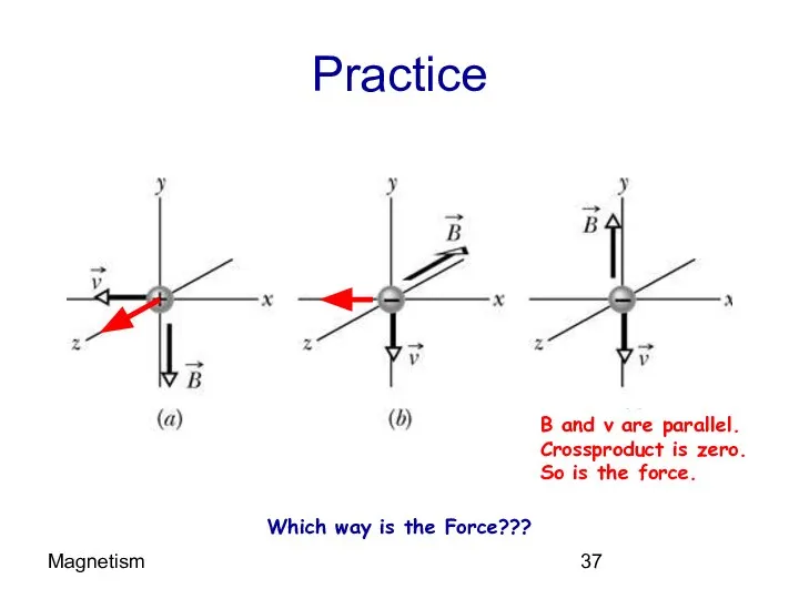 Magnetism Practice Which way is the Force??? B and v are