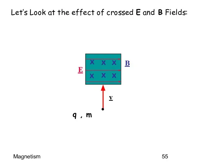 Magnetism Let’s Look at the effect of crossed E and B