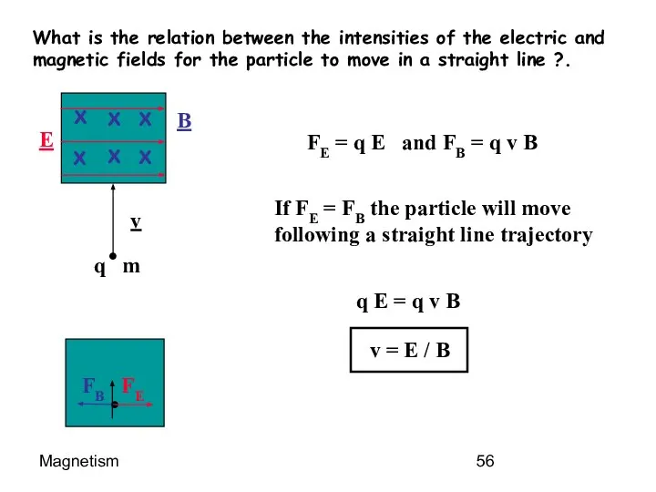 Magnetism What is the relation between the intensities of the electric