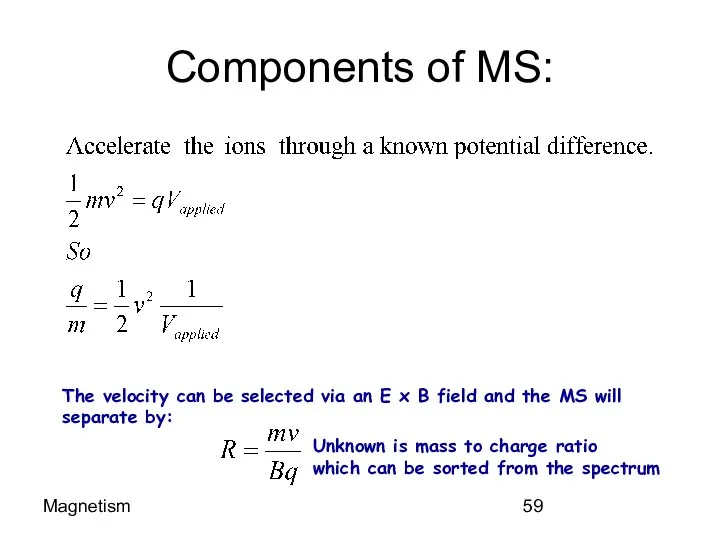 Magnetism Components of MS: