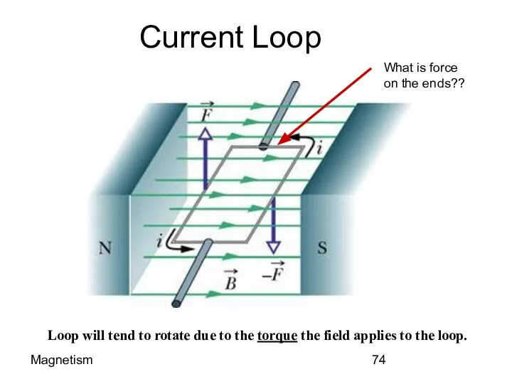 Magnetism Current Loop Loop will tend to rotate due to the