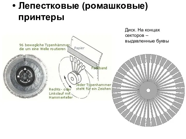 Лепестковые (ромашковые) принтеры Диск. На концах секторов – выдавленные буквы