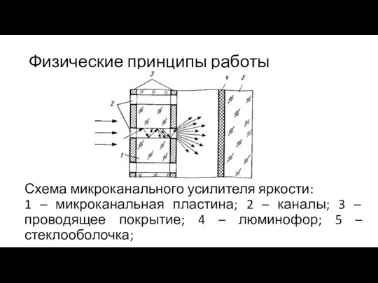 Физические принципы работы Схема микроканального усилителя яркости: 1 – микроканальная пластина;