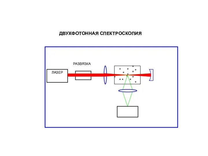 ДВУХФОТОННАЯ СПЕКТРОСКОПИЯ ЛАЗЕР РАЗВЯЗКА ФЭУ