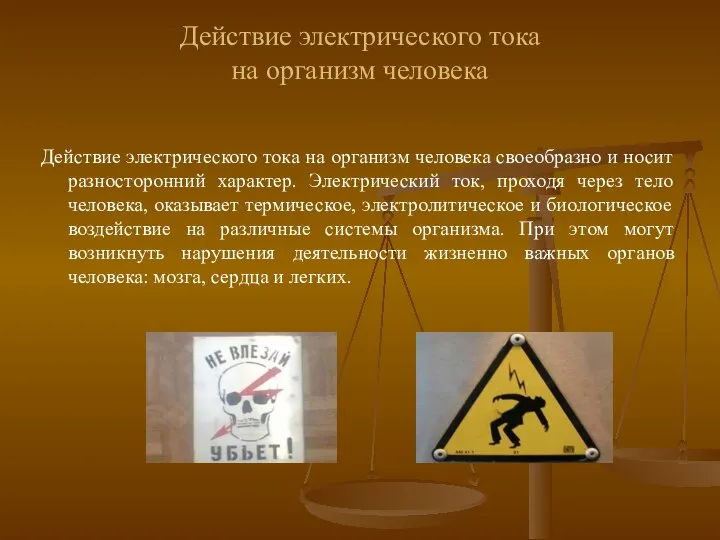 Действие электрического тока на организм человека Действие электрического тока на организм