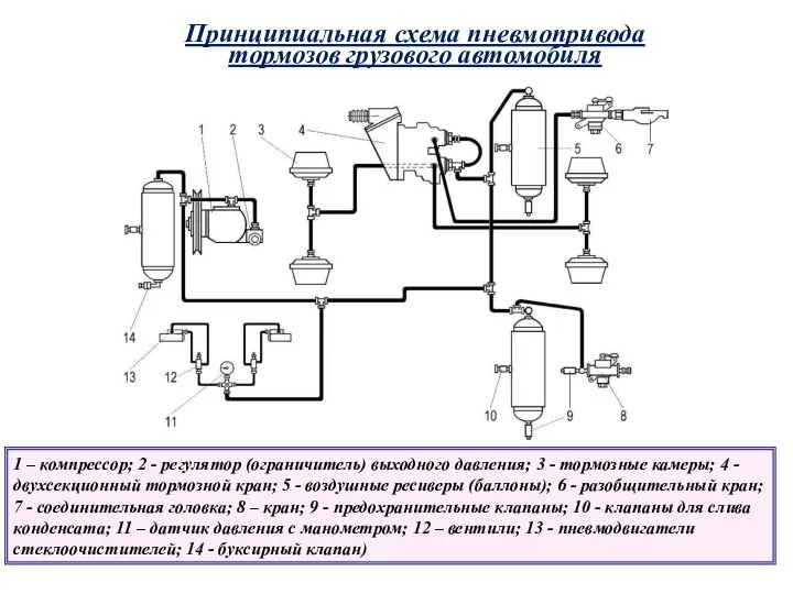 Принципиальная схема пневмопривода тормозов грузового автомобиля 1 – компрессор; 2 -