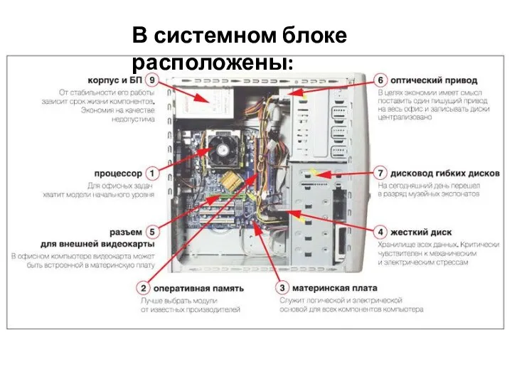 В системном блоке расположены: