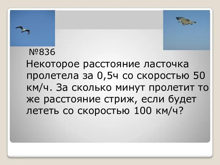 №836 Некоторое расстояние ласточка пролетела за 0,5ч со скоростью 50 км/ч.