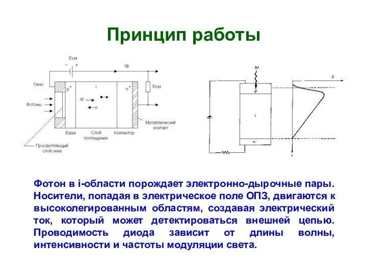 Принцип работы Фотон в i-области порождает электронно-дырочные пары. Носители, попадая в