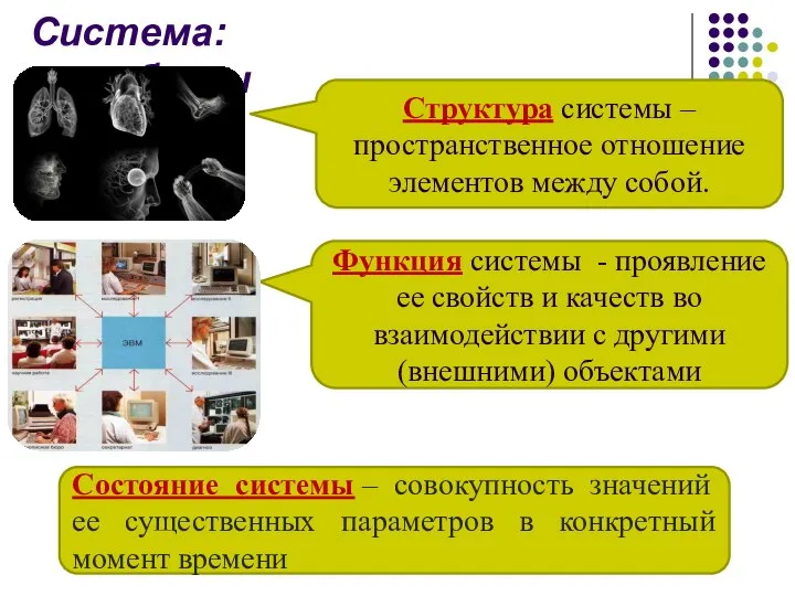 Структура системы – пространственное отношение элементов между собой. Функция системы -