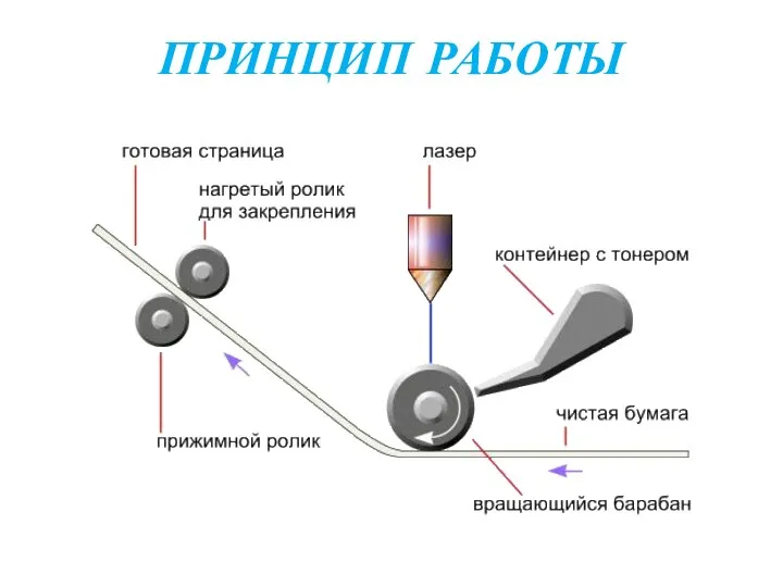 ПРИНЦИП РАБОТЫ