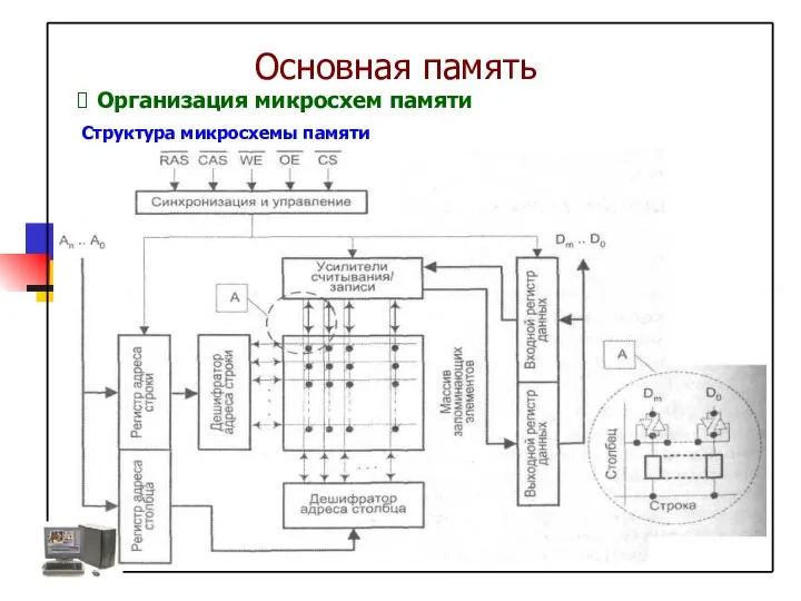 Структура микросхемы памяти Организация микросхем памяти Основная память