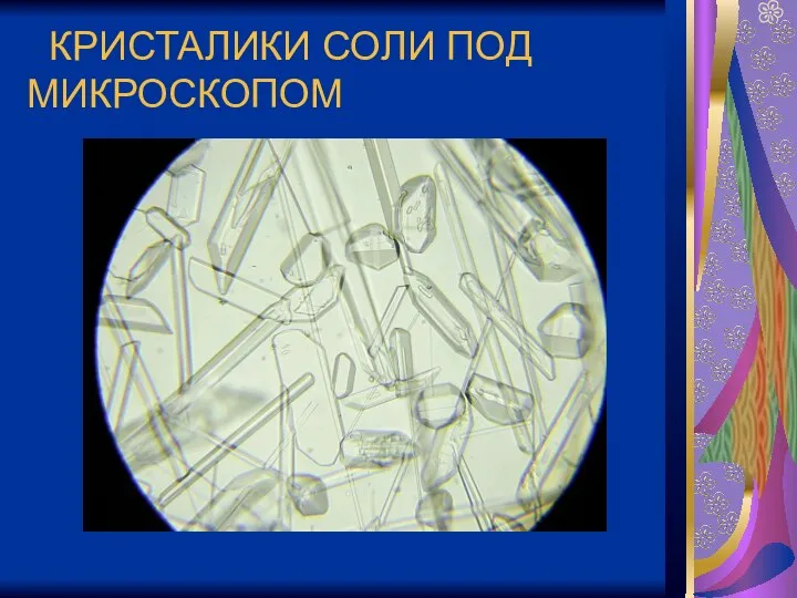 КРИСТАЛИКИ СОЛИ ПОД МИКРОСКОПОМ