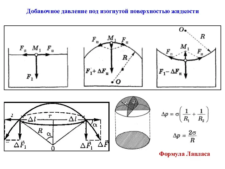 Добавочное давление под изогнутой поверхностью жидкости Формула Лапласа