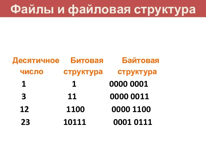 Файлы и файловая структура Десятичное Битовая Байтовая число структура структура 1