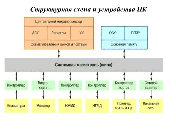 Структурная схема и устройства ПК