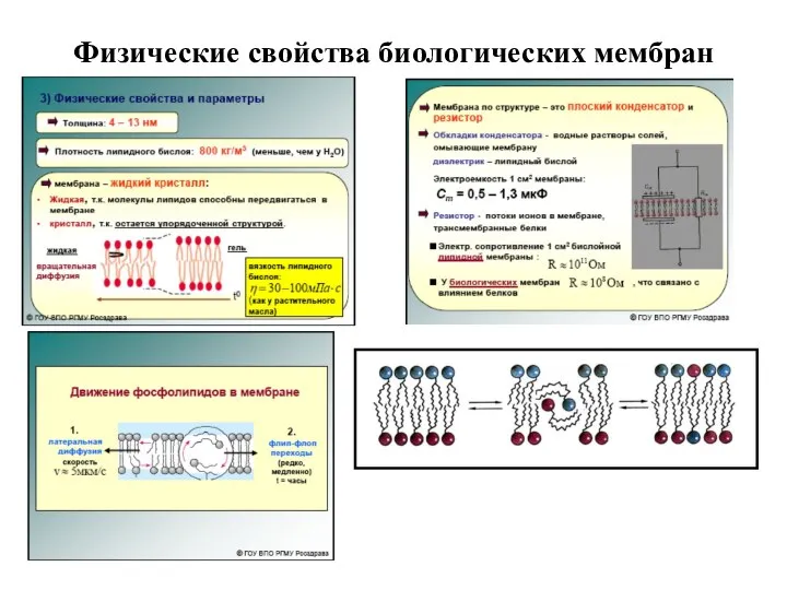 Физические свойства биологических мембран