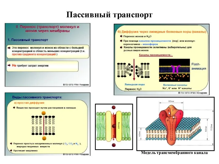 Пассивный транспорт Модель трансмембранного канала