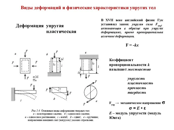 Виды деформаций и физические характеристики упругих тел Деформация упругая пластическая В